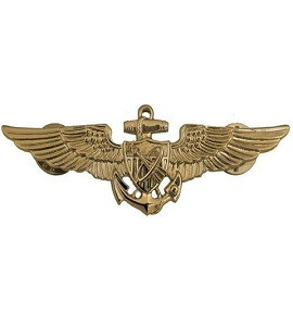 アメリカ海軍のパイロット資格章（Naval Aviator Badge Buy Naval Astronaut Aviator Insignia Badge from Army Surplus World