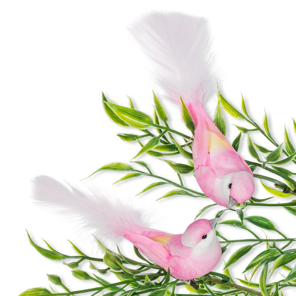 Abbott® Bird Clips