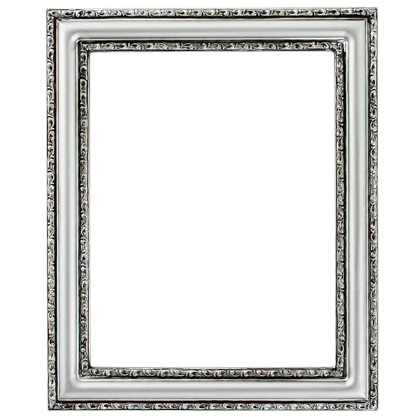 #462 Rectangle Frame - Silver Spray