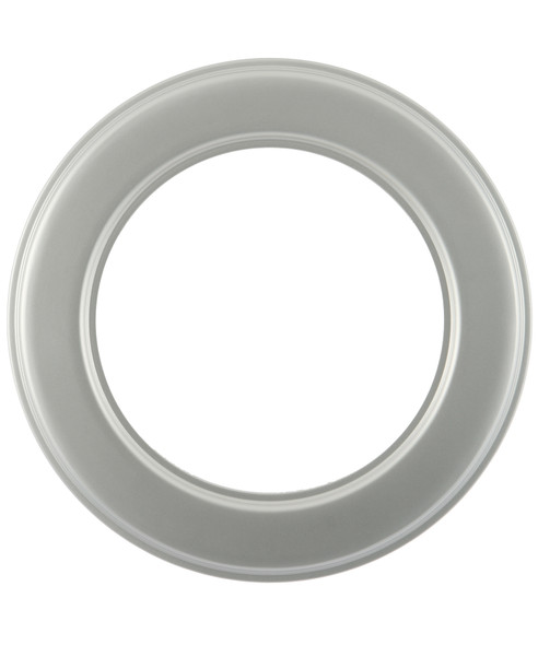 #796 Circle Frame - Bright Silver