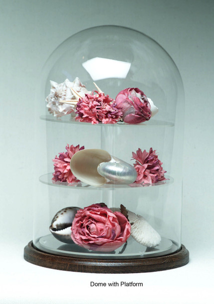 Glass Dome and Base - #905 - Walnut Base