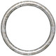 #250 Circle Frame - Champagne Silver