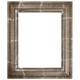 #450 Rectangle Frame - Champagne Silver