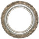 #454 Circle Frame - Champagne Silver