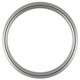 #550 Circle Frame - Silver Spray