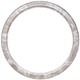 #810 Circle Frame - Champagne Silver