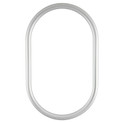 #250 Oblong Frame - Silver Spray