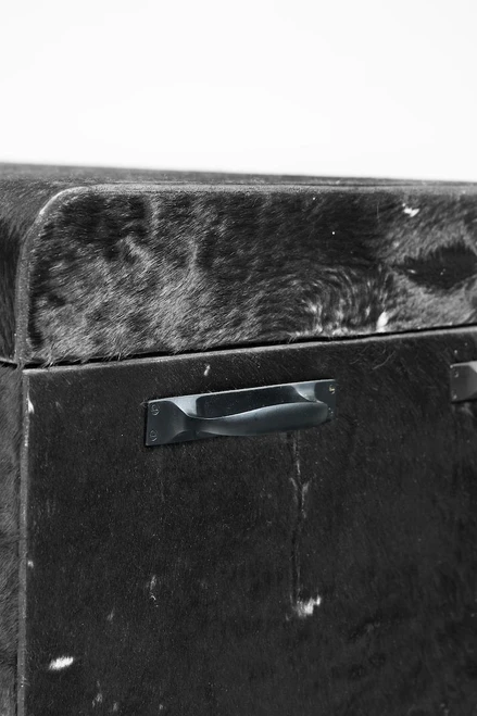 Limited Pamplona Hard Trunk