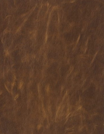 Example of color variation