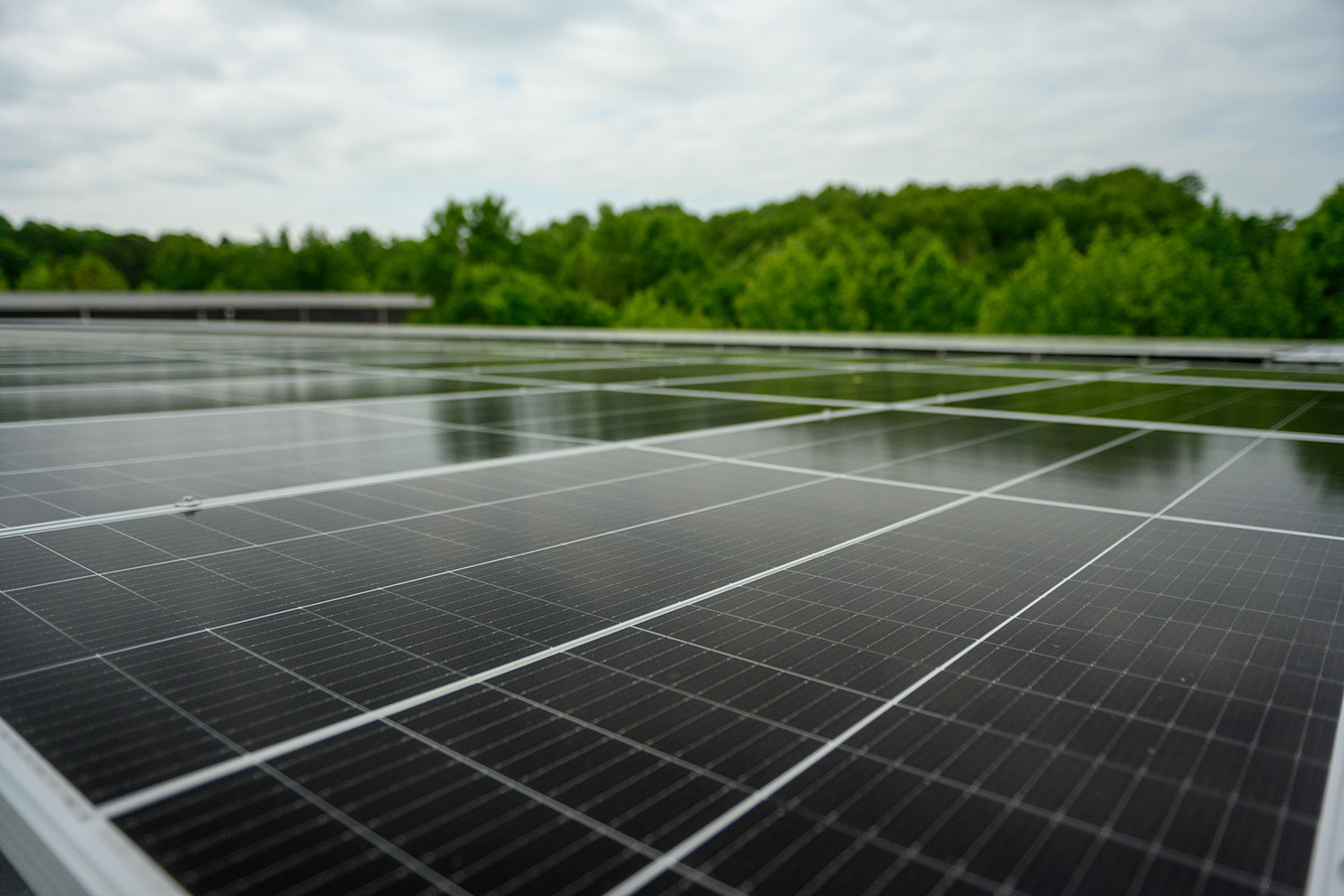 Solar panels in use at Moore & Giles headquarters