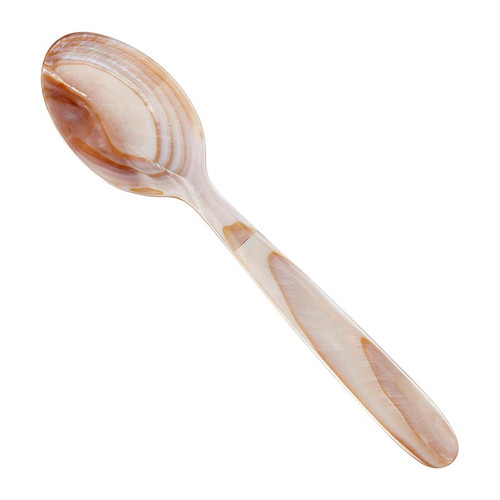 Abalone Shell Spoon