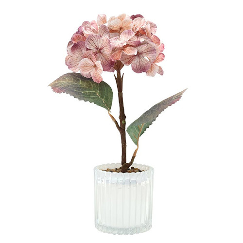 Potted Mauve Hydrangea