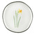 Daffodil Plate