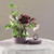 Lilac Halo Canister