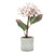 Potted Ivory Hydrangea