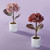 Potted Mauve Hydrangea