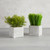 Artificial Plants Set - Square Pot - Grass