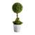 Topiary Ball In Planter