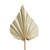 Botanical Decor - Palm Spear