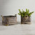 Rectangle Embossed Planter - Large