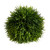 Spike Grass Ball - Small