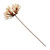 Flower Stem -  004