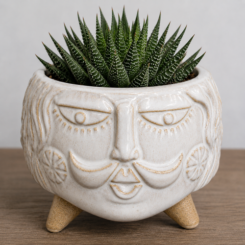 Front of Fun Male Face with Mustache Planter Pot, Succulent Pot