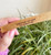 Mantra Palo Santo Stick