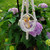 Fairy Garden with Amethyst  in a Glass Globe and Macramé Hanger