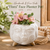 Front of Whimsical White Glaze Ceramic Flower Pot with Girl Face