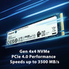 Kingston 2TB NV2 M.2 NVMe SSD, M.2 2280, PCIe4, R/W 3500/2800 MB/s physical Kingston New SNV2S/2000G MemoX