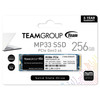 Team 256GB MP33 M.2 NVMe Gen3 SSD, M.2 2280, PCIe3, R/W 1600/1000 MB/s