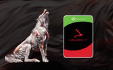Seagate IronWolf 2TB: The quiet workhorse your NAS has been waiting for