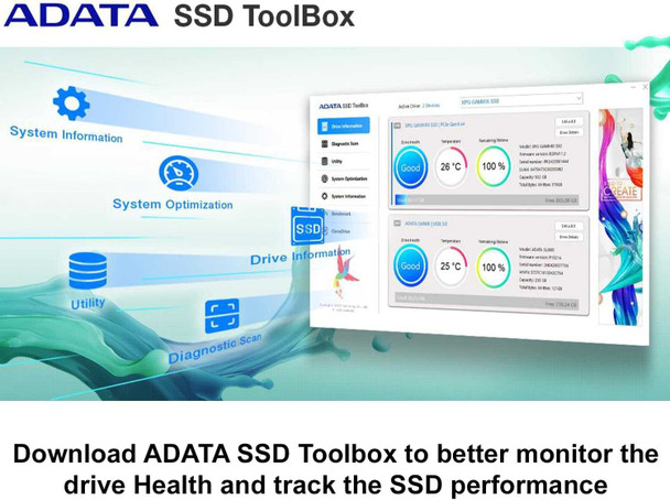 ADATA 2TB Legend 800 M.2 NVMe SSD, M.2 2280, PCIe Gen4, 3D NAND, R/W 3500/2800 MB/s, No Heatsink physical ADATA New ALEG-800-2000GCS MemoX