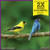 Pennington Songbird Nut & Fruit Blend Wild Bird Seed, 10 lb