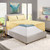 Nestl Extra Twin XL Deep Pocket Sheets Set - 4 PC Soft Microfiber Twin XL Sheets Deep Pocket - Fade Resistant Bedding Sheets & Pillowcases - Twin XL, Vanilla Yellow