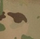 Multicam