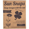 Sun Snaps