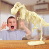 Giant Dinosaur T Rex Skeleton
