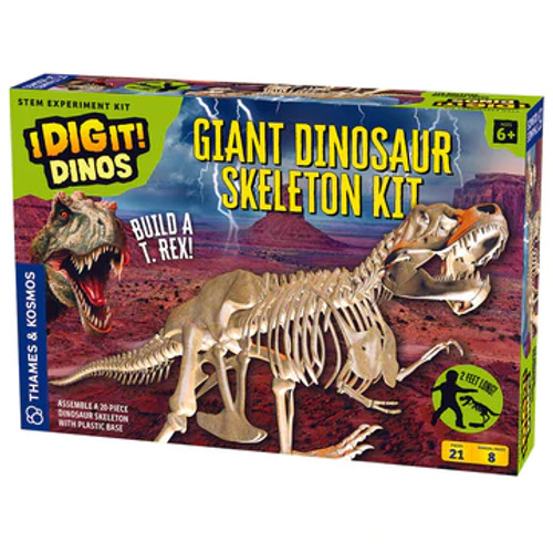 Giant Dinosaur Skeleton Kit