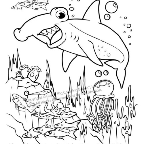 Coloring and Activity Book