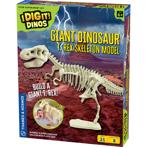 Giant Dinosaur T Rex Skeleton