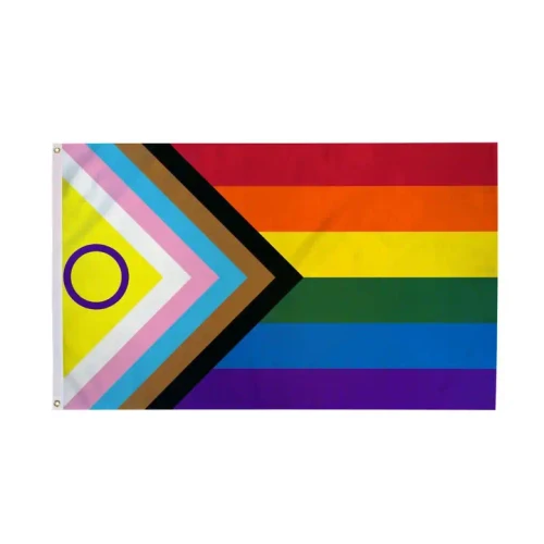 Daniel Quasar Intersex-Inclusive 3ft x 5ft Nylon Pride Flag