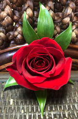 Rose Boutonniere
