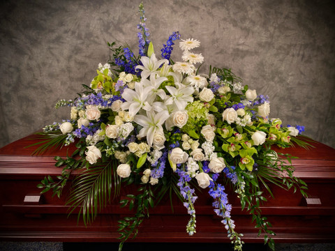 Bluebird In My Heart 