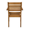 More Arm Chair Robinia Wood