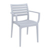 Artemis Arm Chair Silver Grey