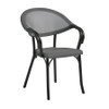 Selva Armchair Black Frame Silver Seat And Back