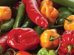 Versatility and Flavor 