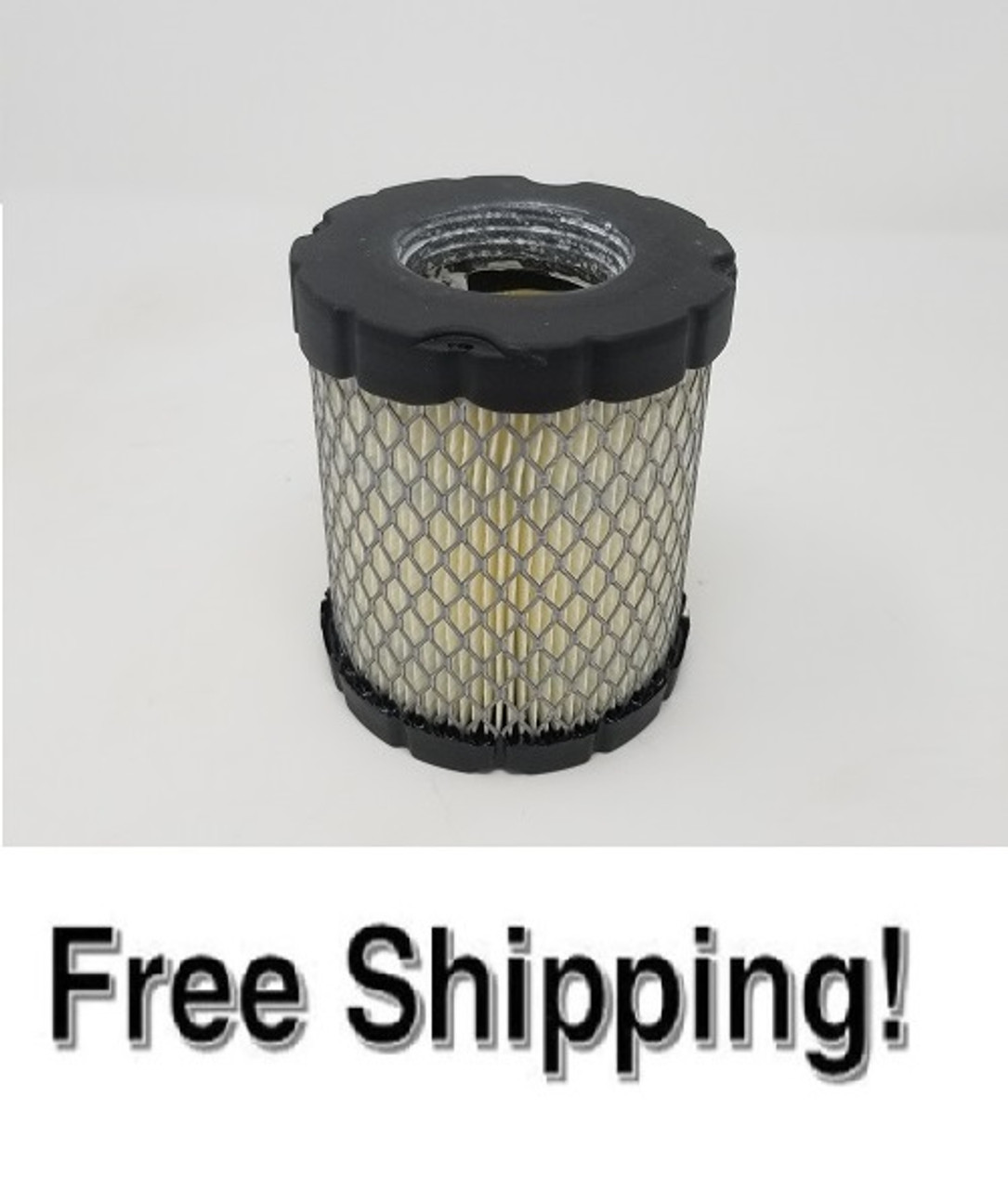 Briggs & Stratton Air Filter